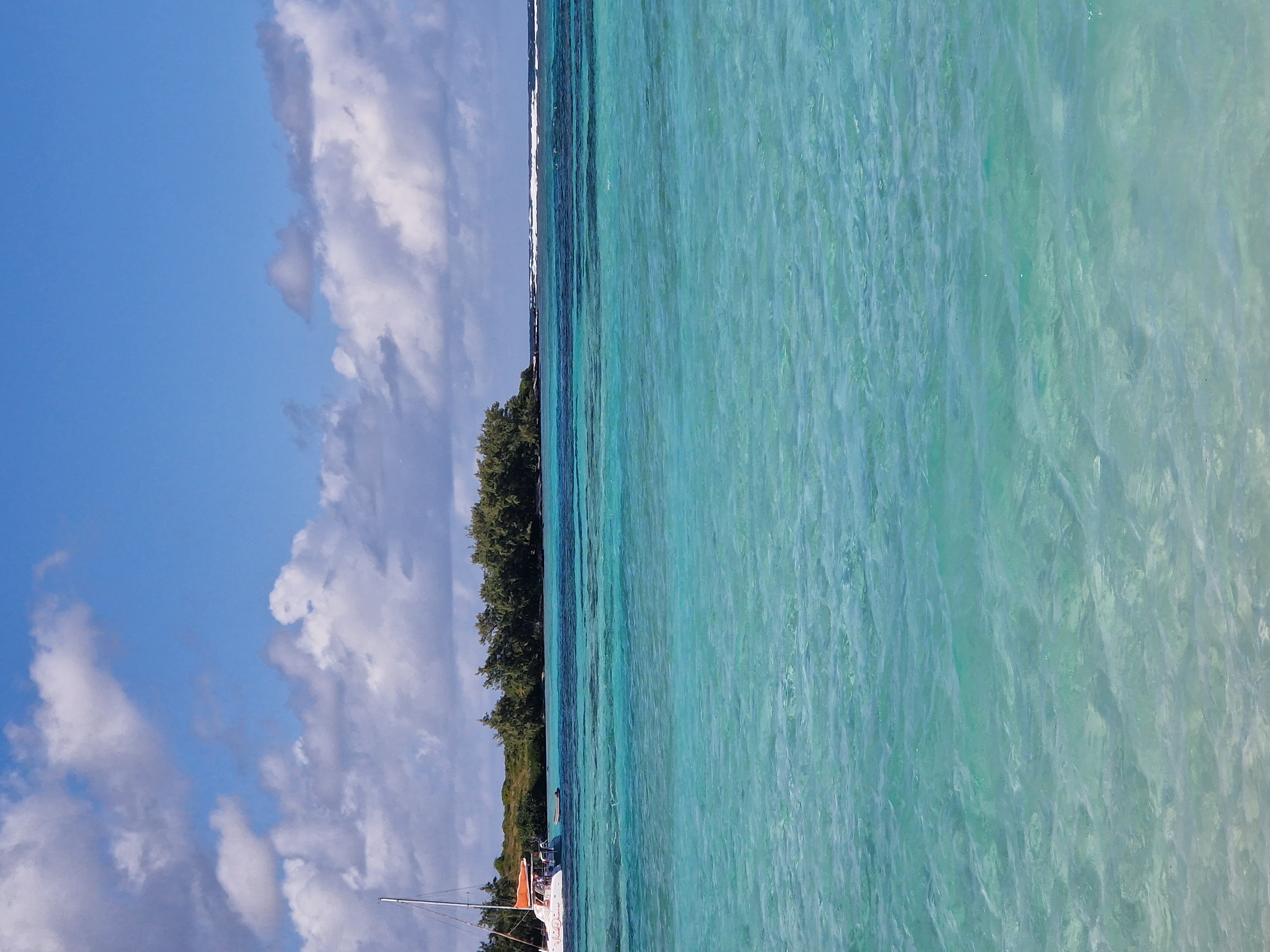 Île aux Cerfs en speedboat
